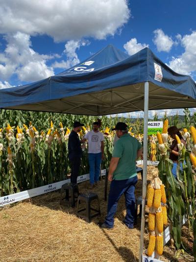 Dia de Campo Coprossel -Evento reuniu produtores, lideranças e empresas parceiras para apresentar tecnologias 